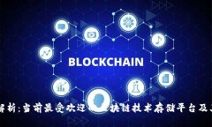 全面解析：当前最受欢迎的区块链技术存储平台